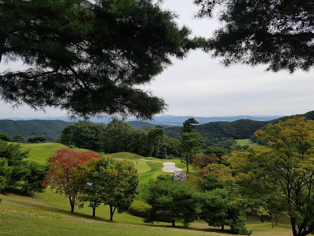 천룡